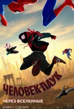Постер к мультфильму «Человек-паук: Через вселенные»